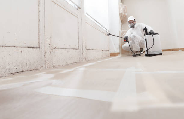 24/7 Emergency Mold Remediation experts in Church Hill, PA