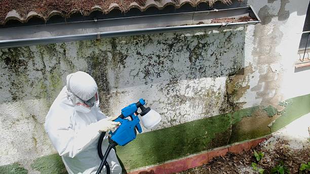 Top rated local Mold Remediation specialists in Church Hill, PA